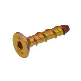 M10 x 100mm Countersunk Screwbolt Anchor