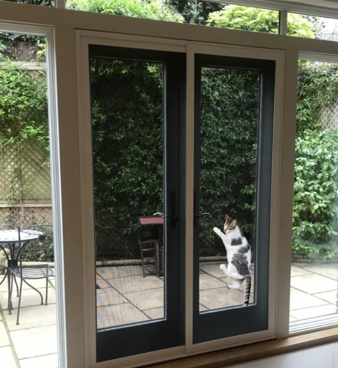 1220mm Paw Resist Mesh 30m